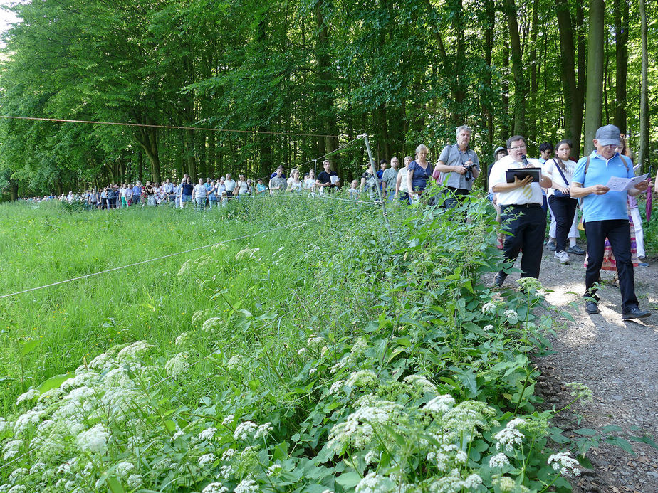 Festgottesdienst zum 1.000 Todestag des Heiligen Heimerads auf dem Hasunger Berg (Foto: Karl-Franz Thiede)